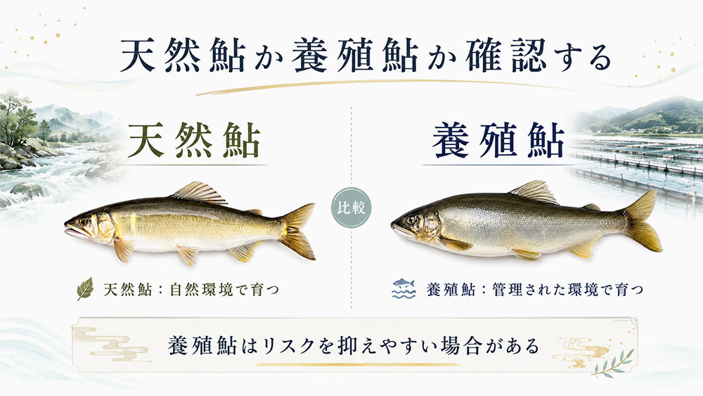 天然鮎か養殖鮎か確認する