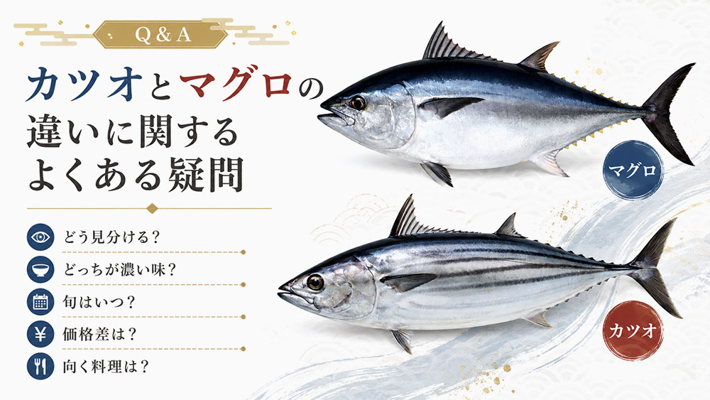 カツオとマグロの違いに関するよくある疑問