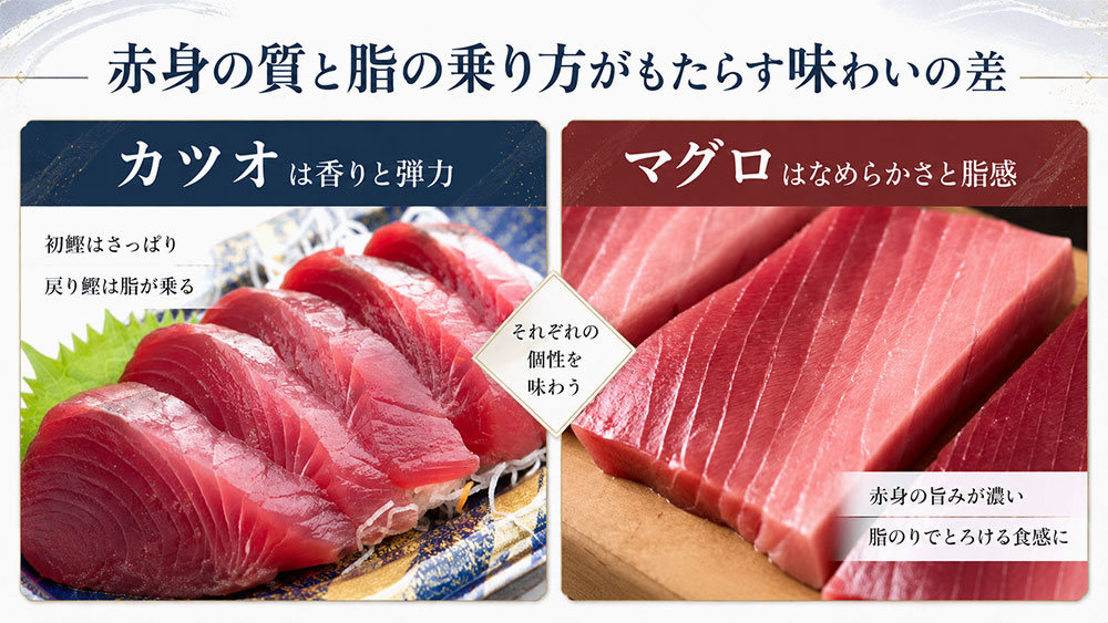 赤身の質と脂の乗り方がもたらす味わいの差