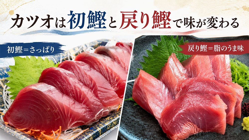 カツオは初鰹と戻り鰹で味が変わる