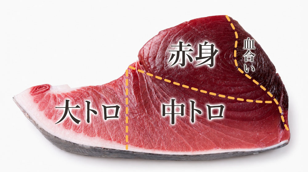 大トロ、中トロ、赤身、血合い