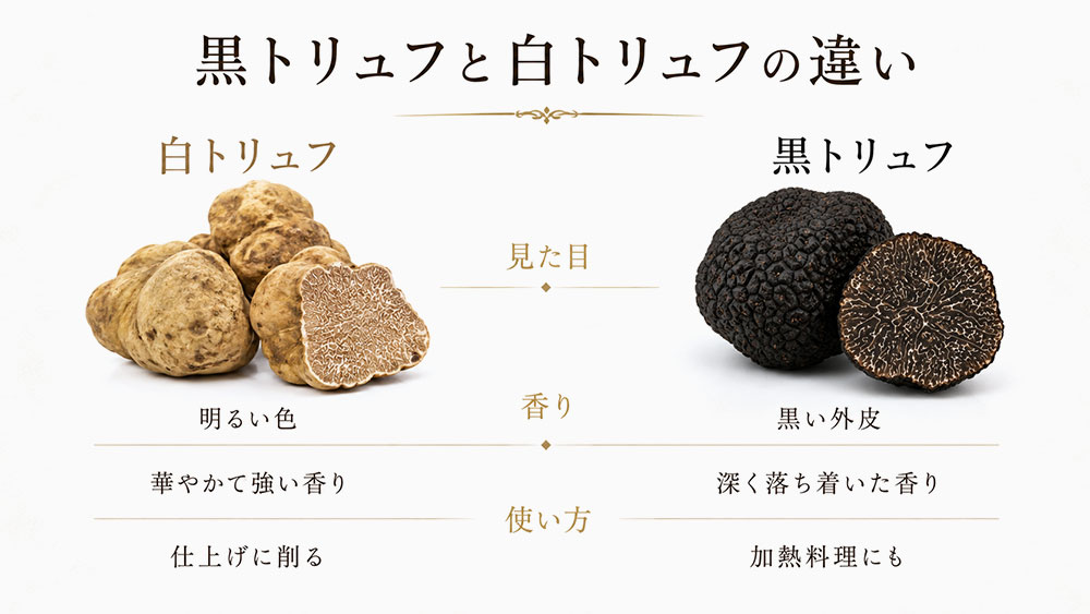 黒トリュフと白トリュフの違い