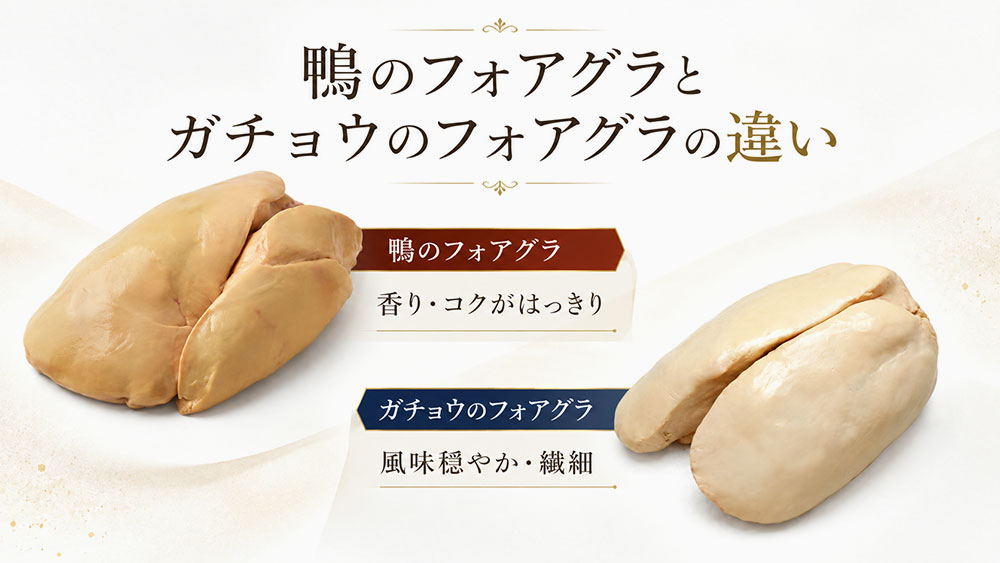 鴨のフォアグラとガチョウのフォアグラの違い