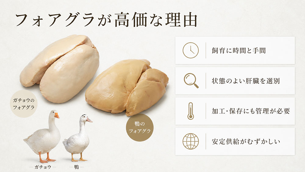 フォアグラが高価な理由