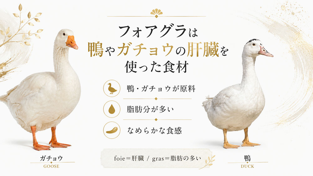 フォアグラは鴨やガチョウの肝臓を使った食材