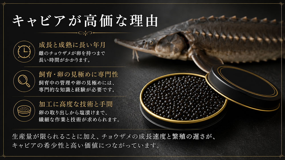 キャビアが高価な理由