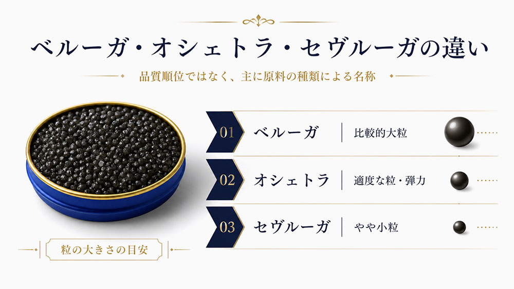 ベルーガ・オシェトラ・セヴルーガの違い