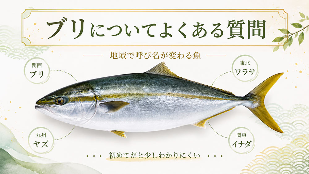 出世魚ブリについてよくある質問