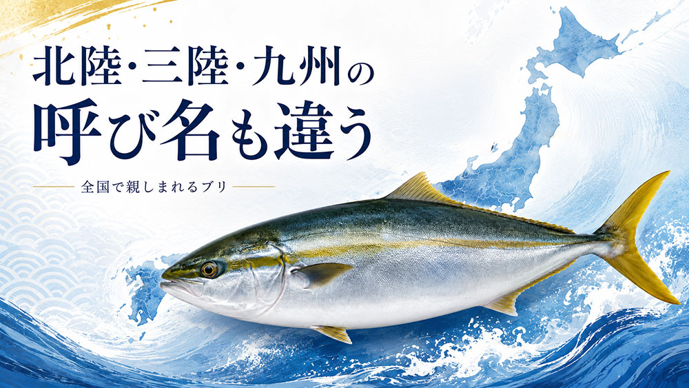 北陸・三陸・九州など地域別の呼び名も違う