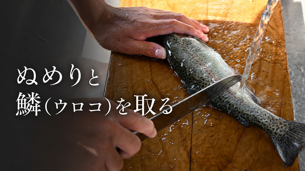 ぬめりと鱗（ウロコ）を取る