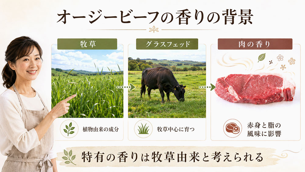 牧草由来の香りがオージービーフの臭みに関係する