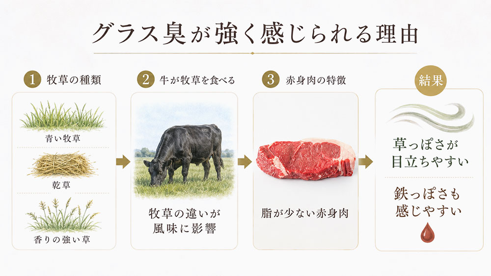 牧草の種類や脂の少なさでグラス臭が強く感じられる