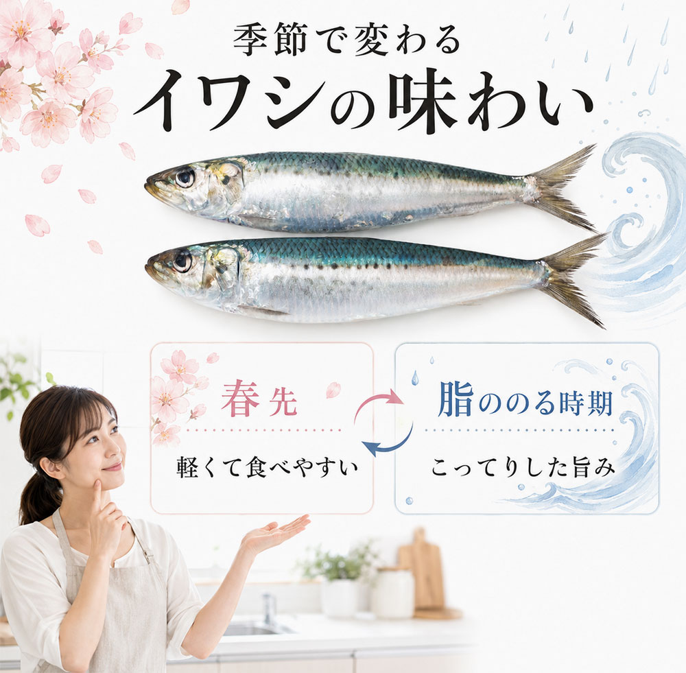 季節で変わるイワシの味わい