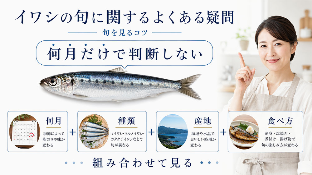 イワシの旬に関するよくある疑問