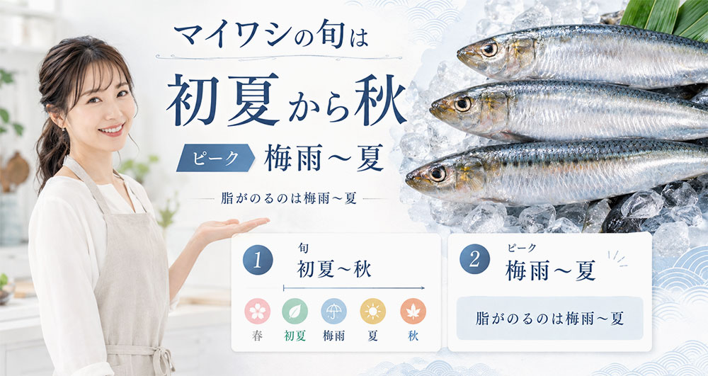 マイワシの旬は初夏から秋、ピークは梅雨から夏